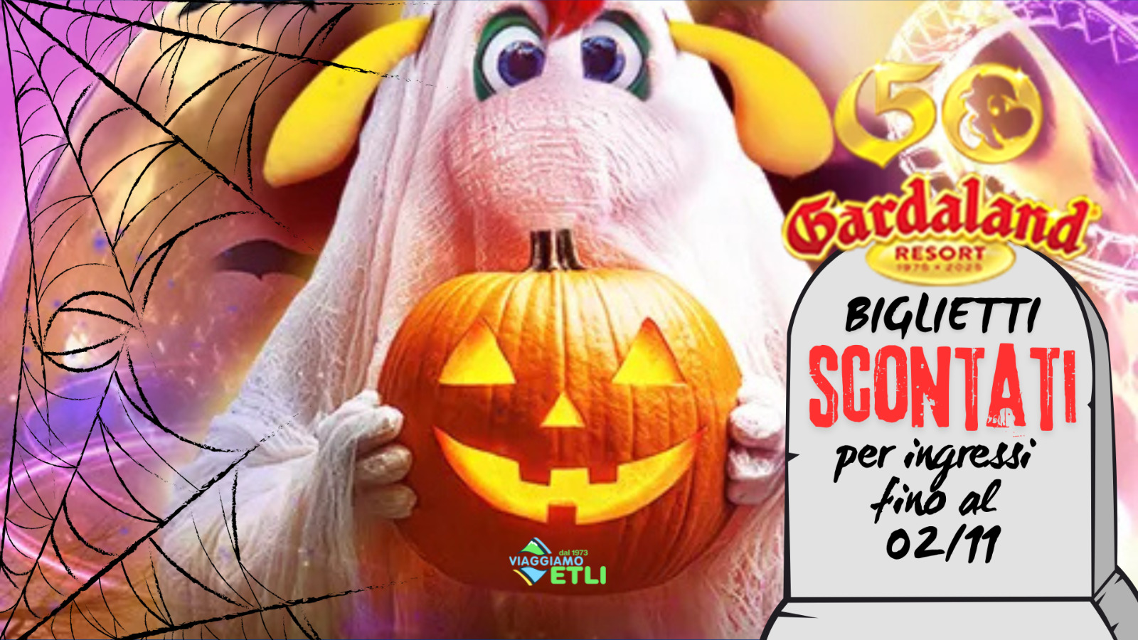 WhatsApp Image 2025-09-26 at 11.16.45