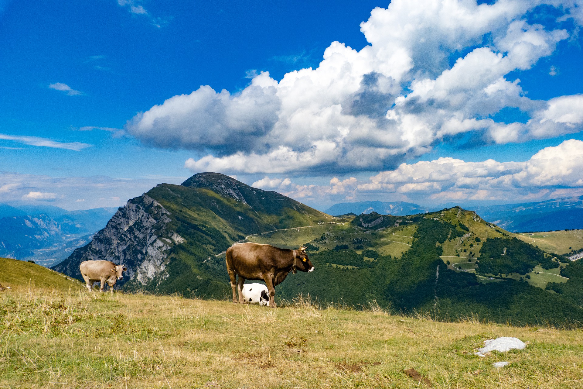 mountains-5016483_1920