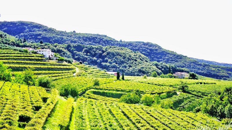 ETLI Gita Rovereto, Valpolicella e Verona arte e sapori