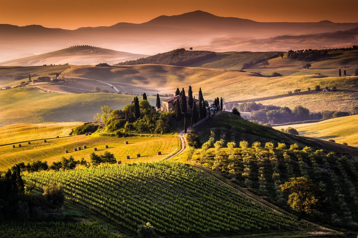 Viaggiamo ETLI Volterra e il Chianti