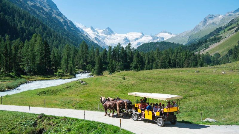 Viaggiamo ETLI Val Roseg e Trenino del Bernina natura incontaminata