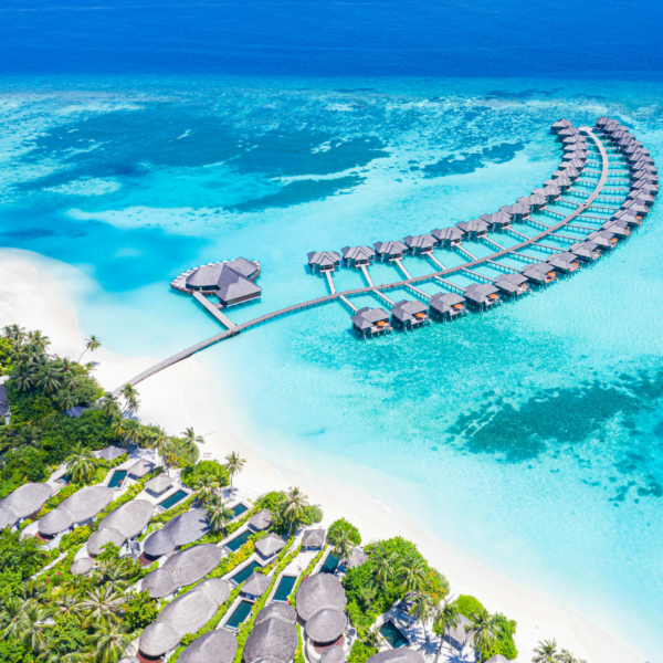 maldive-ETLI