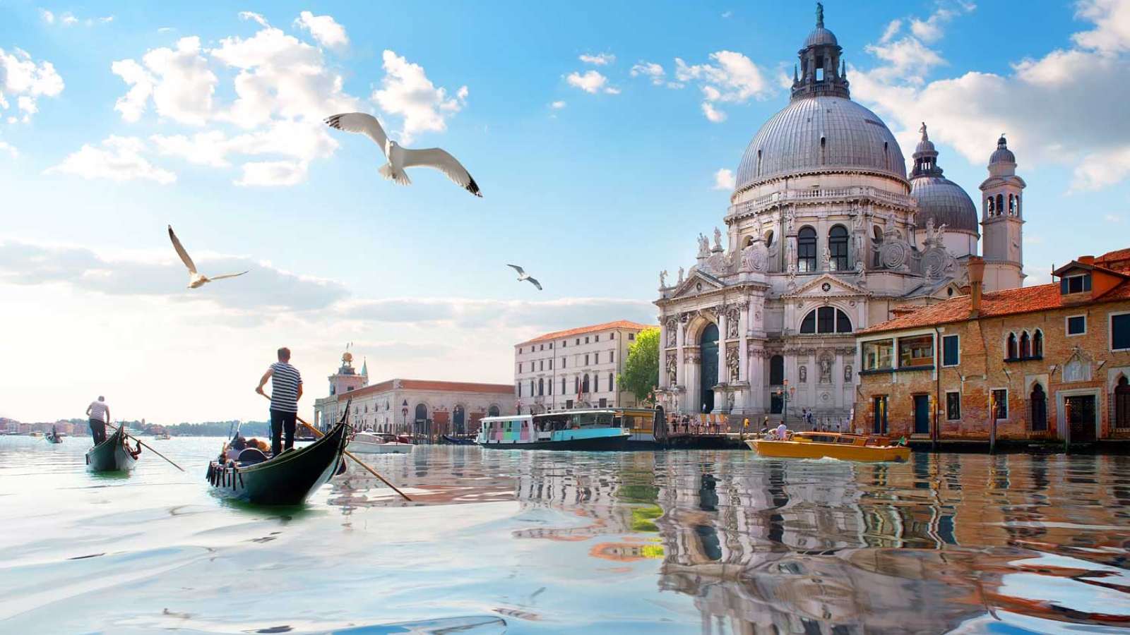 Venezia ETLI