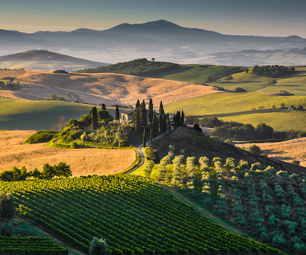Toscana Golosa ETLI