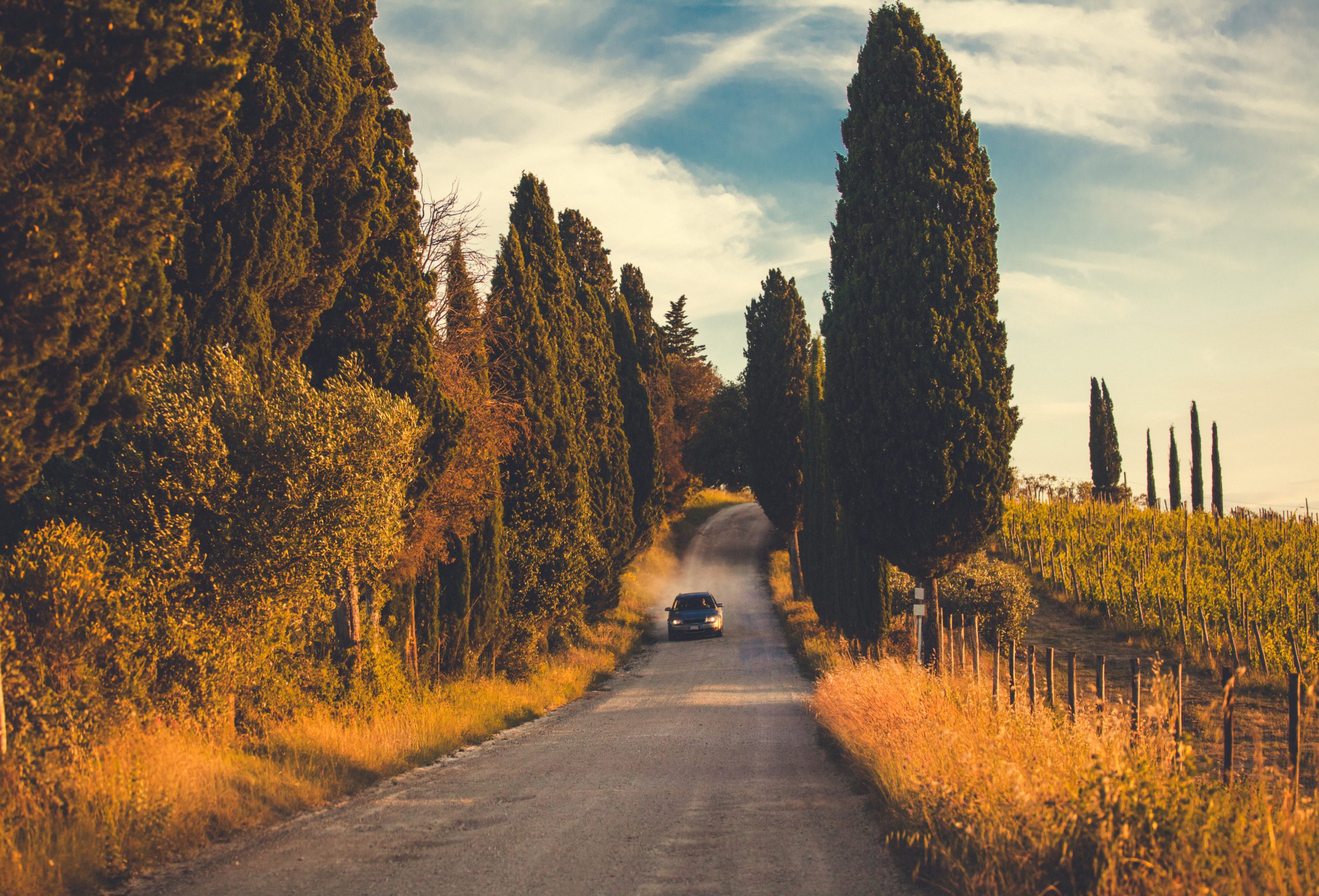 Typical,Tuscany,Road,Along,Cypresses,And,Vineyards